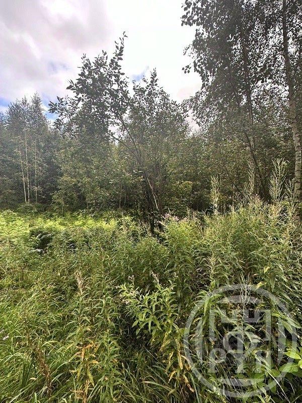 Продажа земли Ладожский Маяк кп, д. Коккорево, аллея Героев