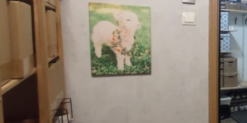 1-комн квартира Тимуровская улица, 6К1