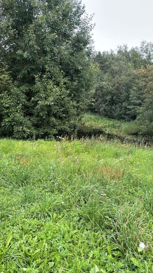 Продажа дома Токсово городской поселок, улица Лесовода Морозова