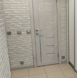 Аренда 1-комн квартиры на вторичном рынке Дзержинский, Лесная улица, 1