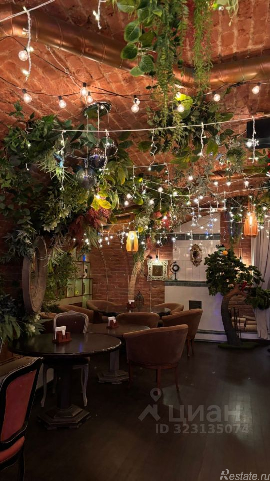 Аренда ПСН Миллионная улица,  д. 4/1