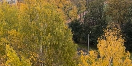 1-комн квартира Институтский проспект, 29