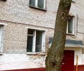 Продать Квартиры вторичка Балашиха, улица Быковского, 16   