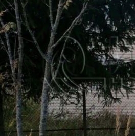 Продажа дома Новинка садоводческий массив, Конкордия СНТ, 13-я линия, 381 Продажа дома Новинка садоводческий массив, Конкордия СНТ, 13-я линия, 381