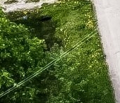 Продать Дачи, коттеджи, загородные дома Крутая Гора садоводческий массив, Электрон СНТ, аллея 2-я  9 