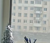 Продать Комнаты в квартирах пос. Металлострой, Садовая улица, 21к3   