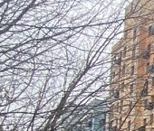 Продать Квартиры вторичка Производственная улица, 12к2   