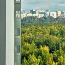 Продажа 1-комн квартиры на вторичном рынке Орлово-Денисовский проспект,  д. 15 к1 с1