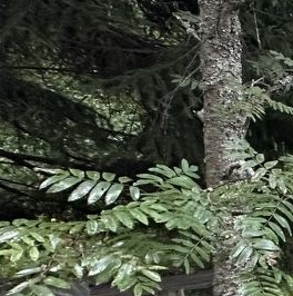 Продажа земли Надежда СНТ, 65