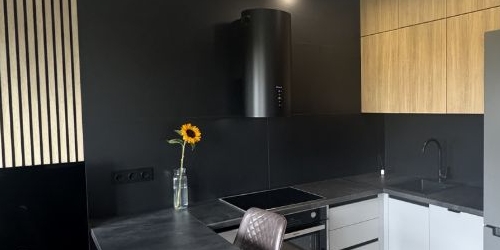 Студия улица Академика Павлова, 56к1