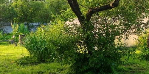 Коттедж/дом Красное Село, проспект Красных Командиров, 20