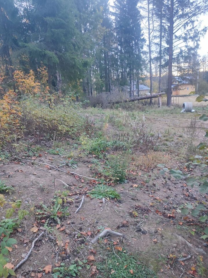 Продажа земли д. Вартемяги, шоссе Приозерское