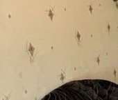 Продать Квартиры вторичка Волосово, Гатчинское шоссе, 4   