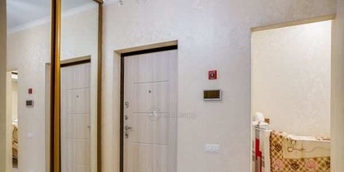 1-комн квартира 10-я Парковая ул,  д. 10