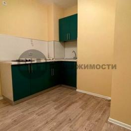 Продажа 1-комн квартиры на вторичном рынке Пискаревский пр-кт,  д. 145 к3