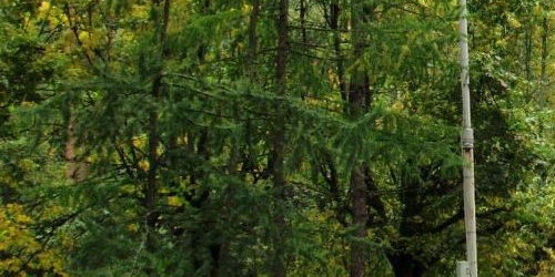 2-комн квартира Политехническая улица, 29к1