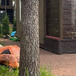 Продажа дома пос. Волочаевка, проезд 3-й Сказочный Продажа дома пос. Волочаевка, проезд 3-й Сказочный