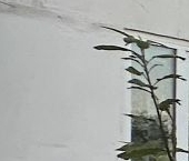 Продать Квартиры вторичка пос. Любань, проспект Мельникова, 12   