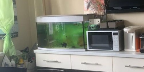 3-комн квартира Псковская улица, 10К1