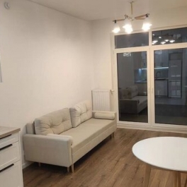 Аренда 1-комн квартиры на вторичном рынке Олонецкая улица