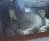 Продать Квартиры вторичка улица Фабрициуса, 9   