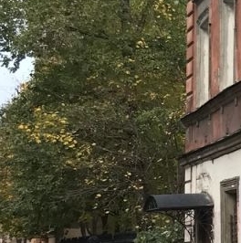 Продажа 2-комн квартиры на вторичном рынке Социалистическая улица, 26-28/15 Продажа 2-комн квартиры на вторичном рынке Социалистическая улица, 26-28/15