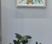 Сдать в аренду Квартиры вторичка улица Архитектора Власова, 71к2   