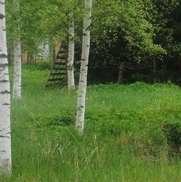 Продажа земли ГРЭС-8 имени Кирова садовое товарищество, Беляевский Мох садоводческий массив, д. 352 Продажа земли ГРЭС-8 имени Кирова садовое товарищество, Беляевский Мох садоводческий массив, д. 352