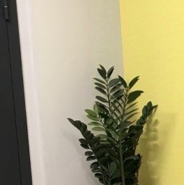 Аренда студии улица Генерала Кравченко, 3к2