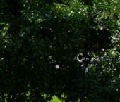 Продать Квартиры вторичка Караванная улица, 16/14   