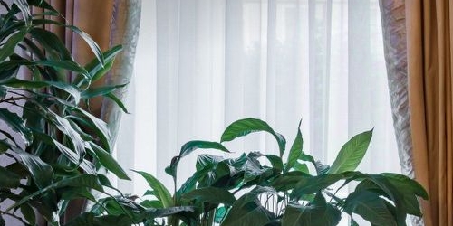 4-комн квартира проспект Чернышевского, 10