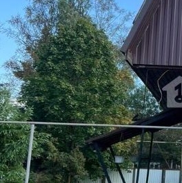 Продажа дома Отрадное, 7-я линия, 80