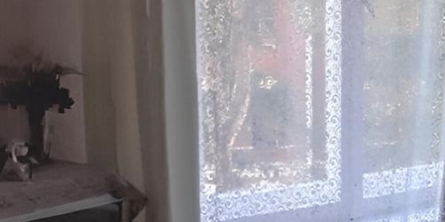 1-комн квартира Пушкин, Прямой переулок, 3