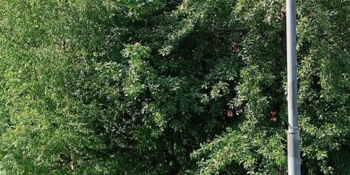 2-комн квартира Бакунинская улица, 98АС11