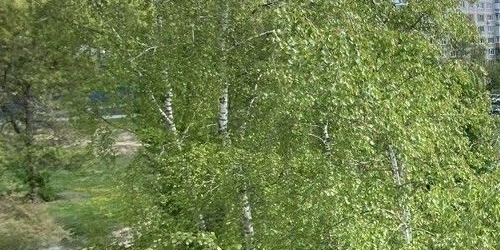 2-комн квартира Балашиха, шоссе Энтузиастов, 68