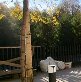 Продажа дома д. Порошкино, улица Тверская, 18 Продажа дома д. Порошкино, улица Тверская, 18