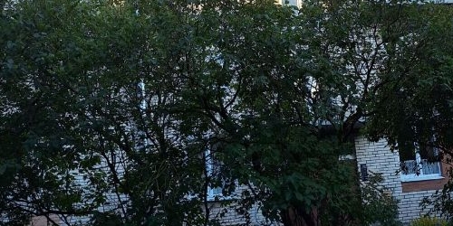 1-комн квартира Пушкин, Артиллерийская улица, 4