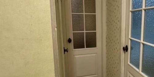 1-комн квартира Сестрорецк, улица Мосина, 3