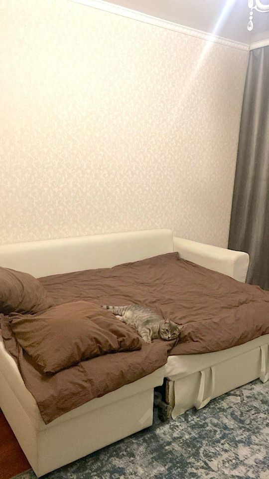 Аренда комнаты Подольск, Юбилейная улица, 1к2