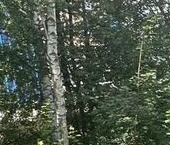 Продать Квартиры вторичка Дмитров, Кропоткинская улица, 119   