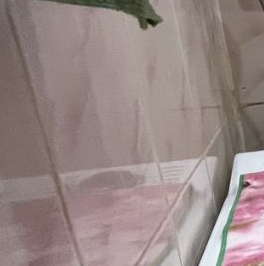 Продажа 4-комн квартиры на вторичном рынке Шатура, проспект Ильича, 37/2 Продажа 4-комн квартиры на вторичном рынке Шатура, проспект Ильича, 37/2