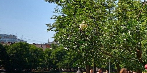 1-комн квартира Малая Бронная улица, 36