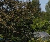 Продать Дачи, коттеджи, загородные дома Келколово-3 садоводческий массив, Фрунзенец СНТ, улица Строителей  8 