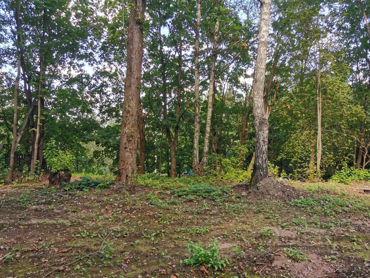 Продажа земли Токсово городской поселок, улица Советская