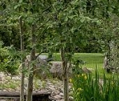 Продать Дачи, коттеджи, загородные дома пос. Солнечное, улица Вокзальная, 5с9   