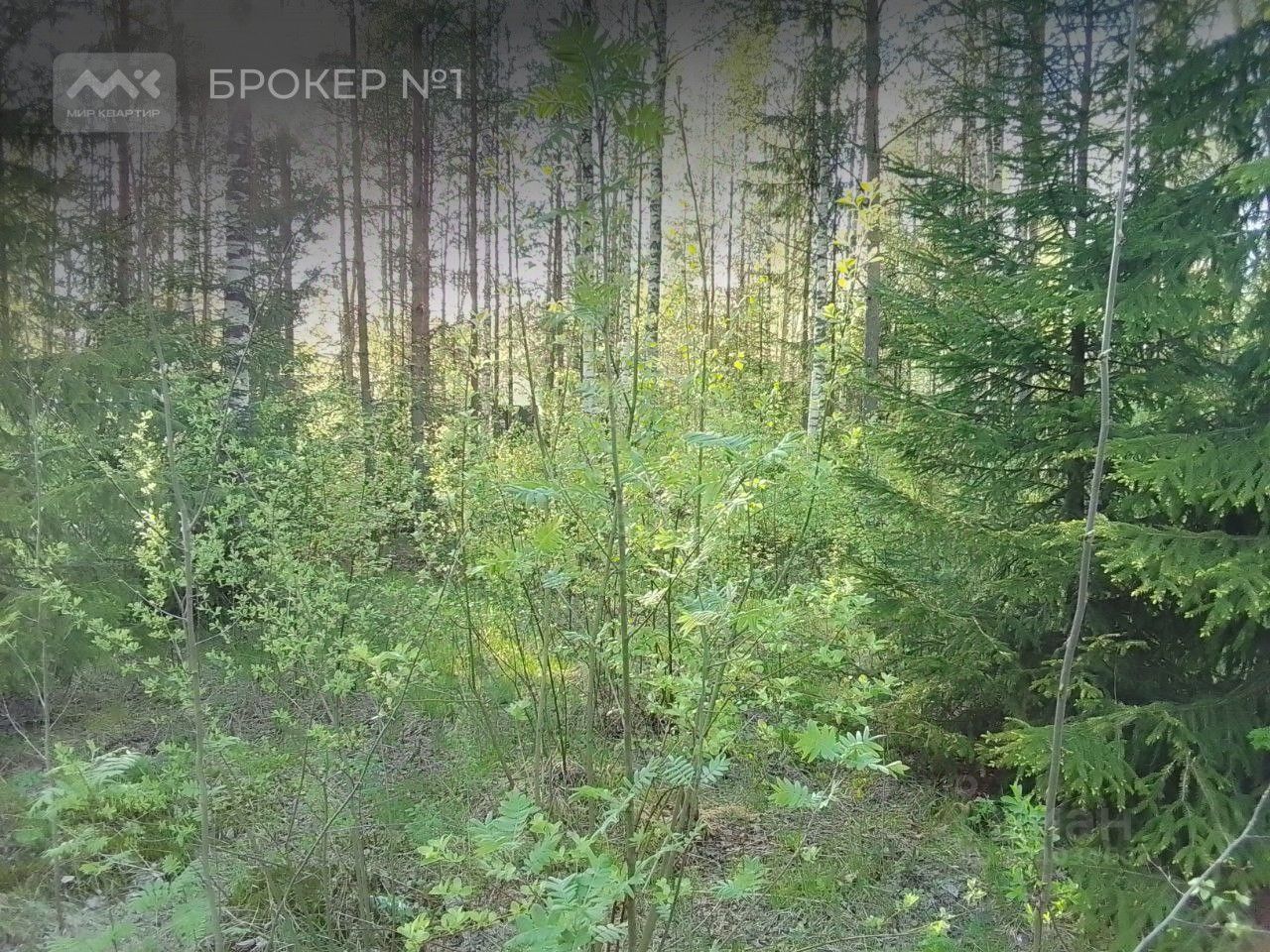 Продажа земли Всеволожск, Новая улица, 12А