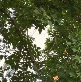 Продажа 2-комн квартиры на вторичном рынке Вешняковская улица, 8К1 Продажа 2-комн квартиры на вторичном рынке Вешняковская улица, 8К1