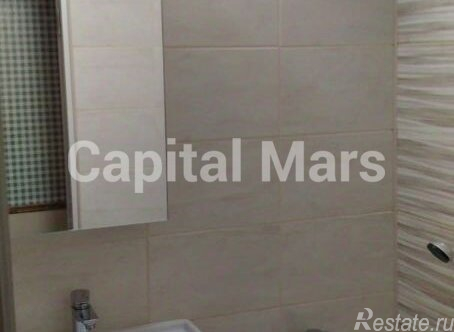 Аренда 1-комн квартиры на вторичном рынке Литовский б-р,  д. 3,  к. 2