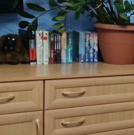 Продажа 3-комн квартиры на вторичном рынке Алтуфьевское шоссе, 91 Продажа 3-комн квартиры на вторичном рынке Алтуфьевское шоссе, 91