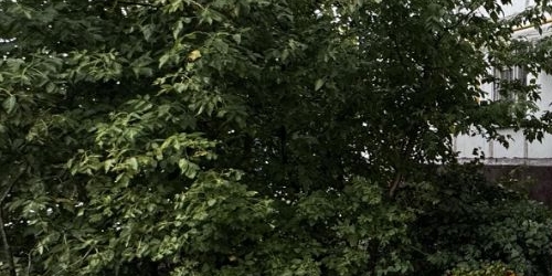 2-комн квартира улица Артюхиной, 28